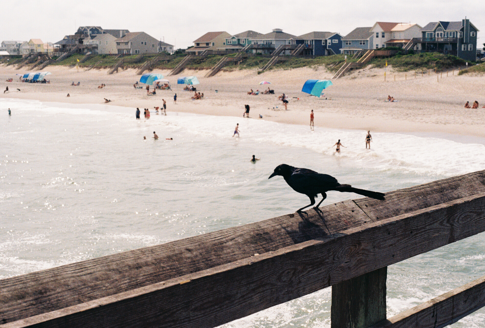Surf City 2025