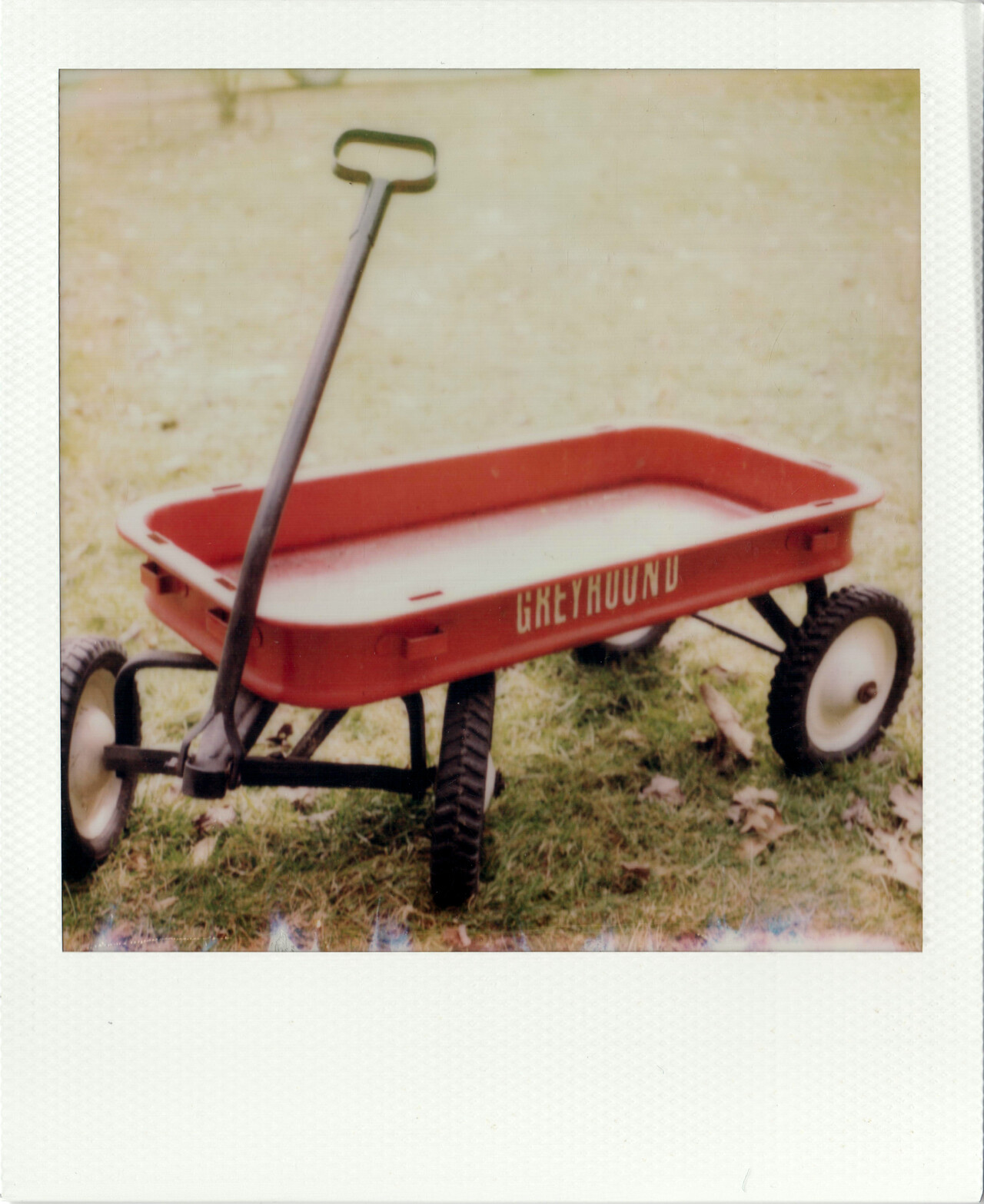 Polaroid SX-70